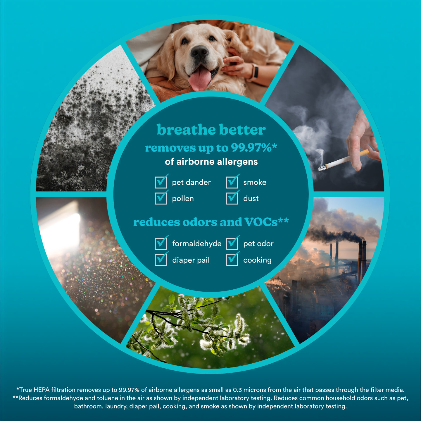 PetPlus Tower Air Purifier - Image 10