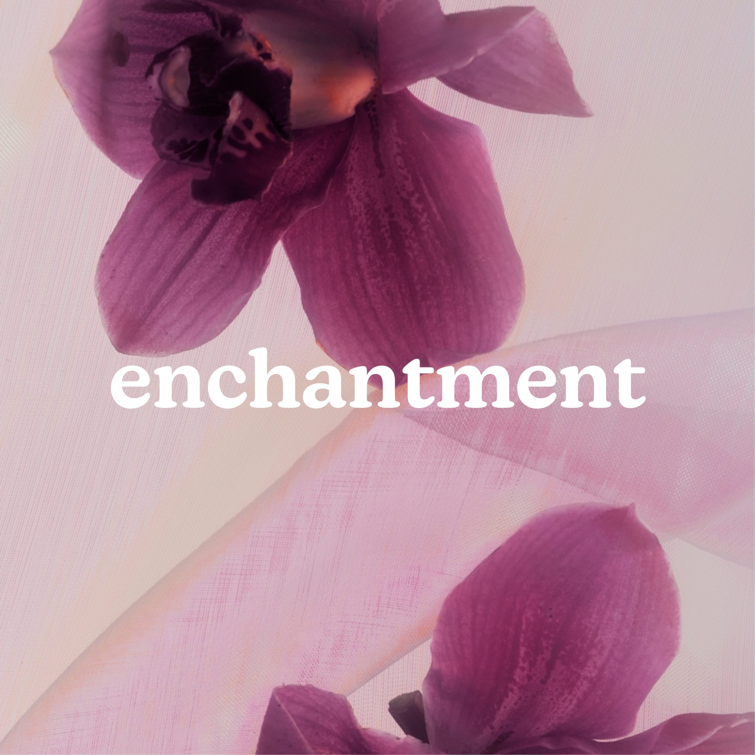 SereneScent Enchantment - Image 2