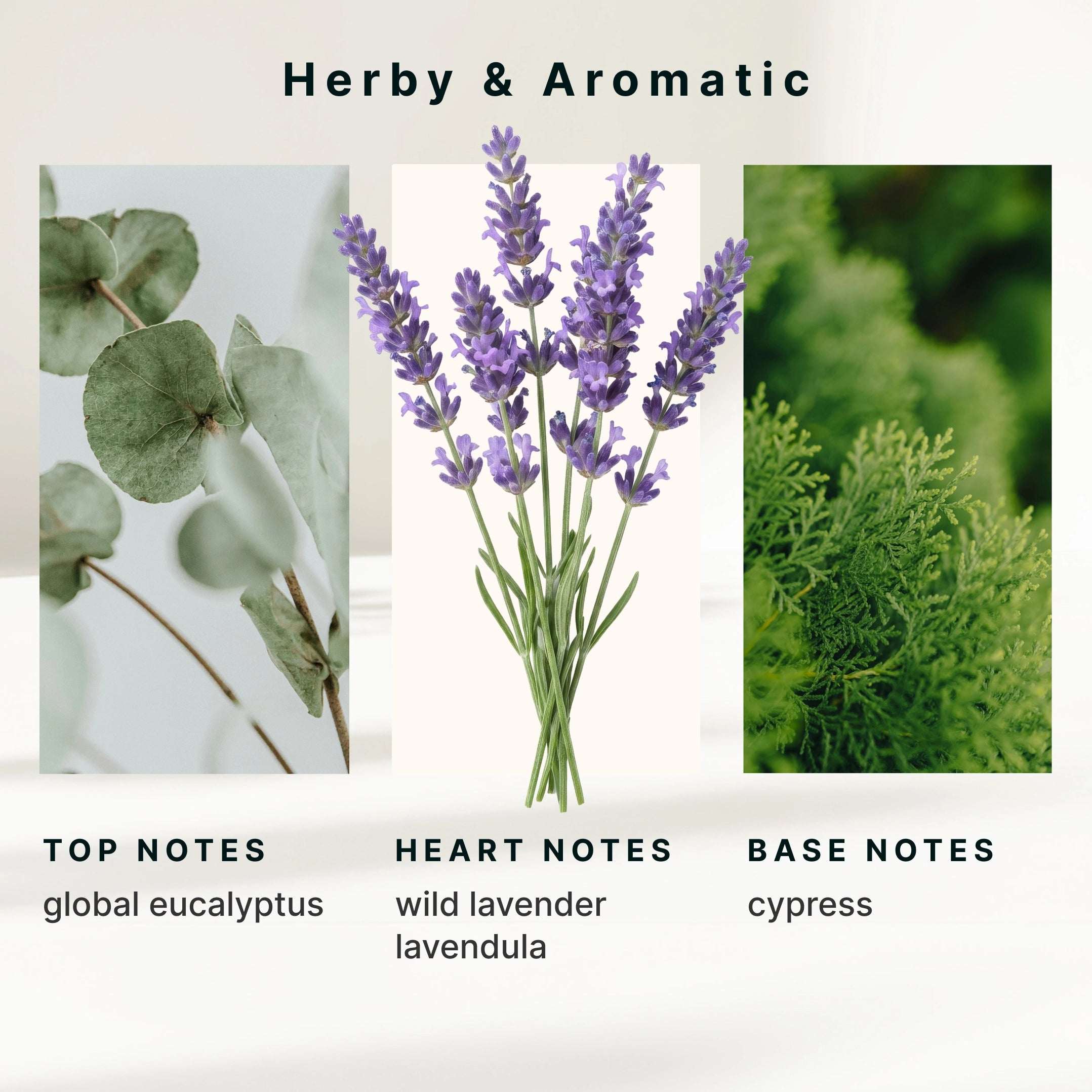 SereneScent Lavender & Eucalyptus - Image 6