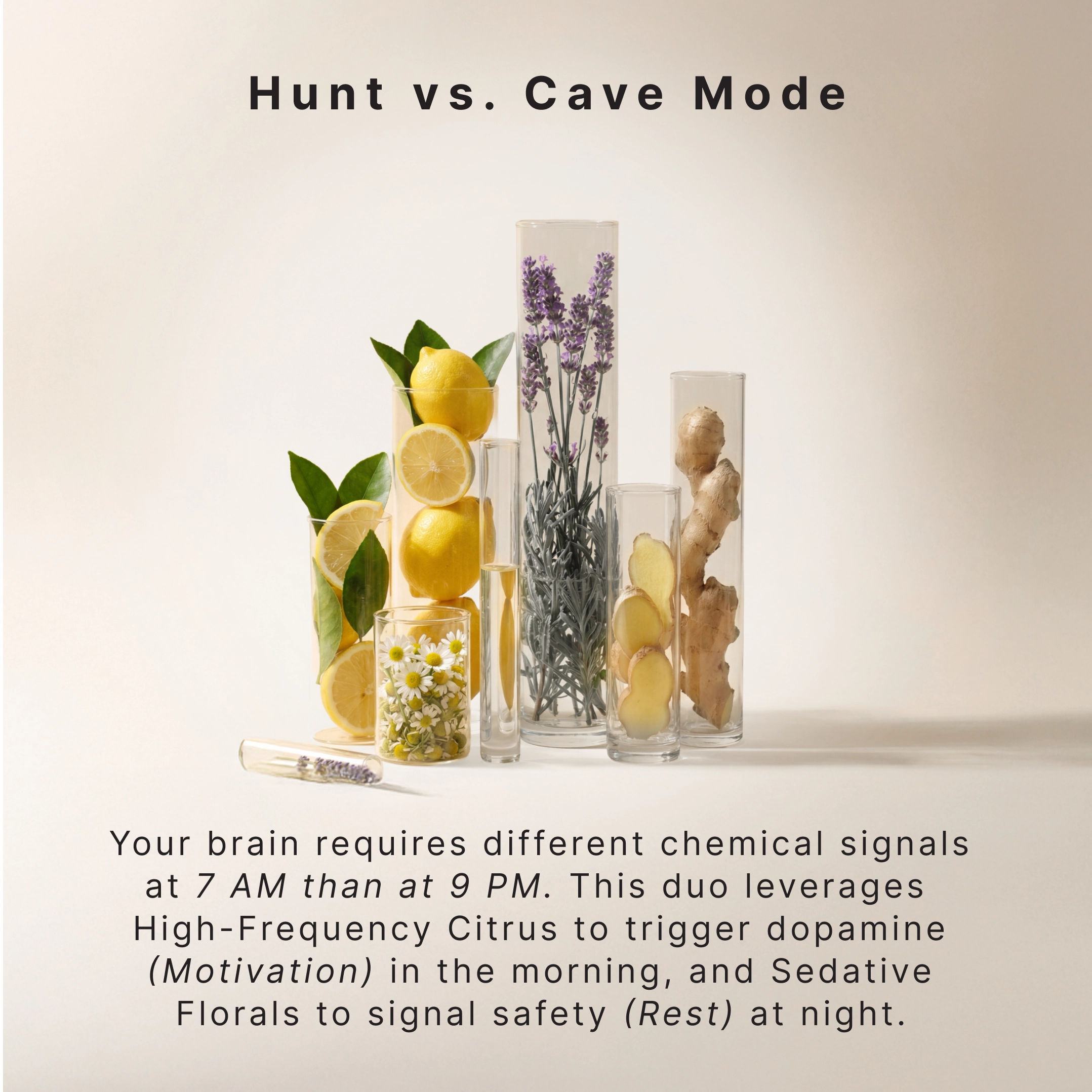 The Circadian Edit - Image 5