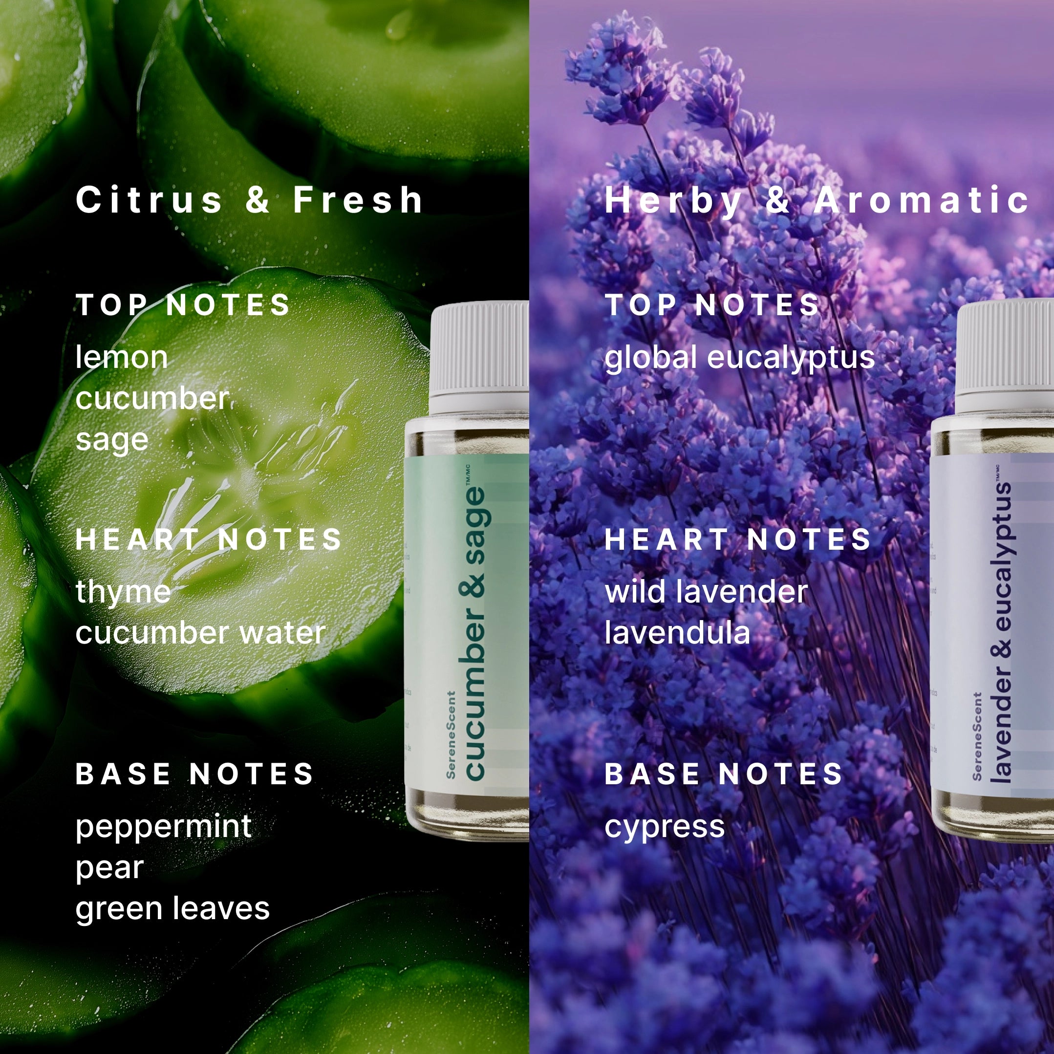 The Clarity Kit - Image 4